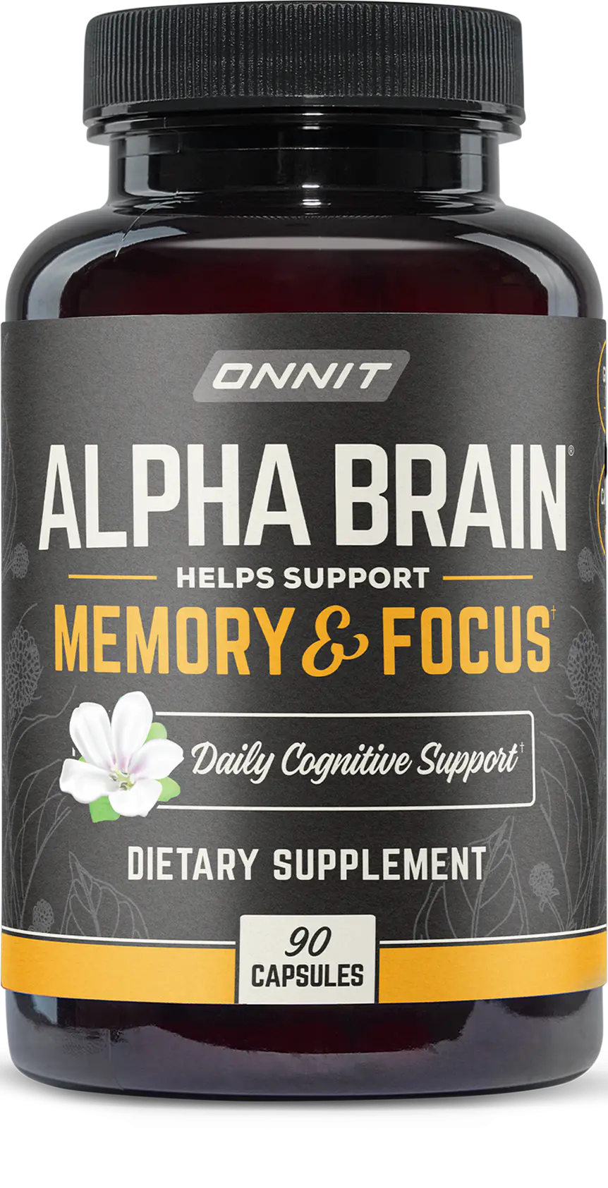 what-is-Alpha Brain